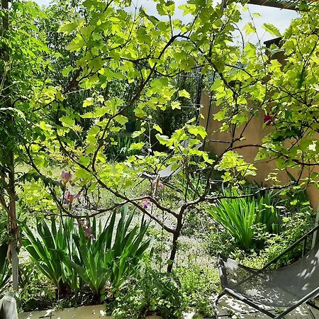 Апартаменти T.Belle Vue Panoramique Au Coeur Du Luberon 40M2 + Pergola . Jardin. P Апт Екстер'єр фото
