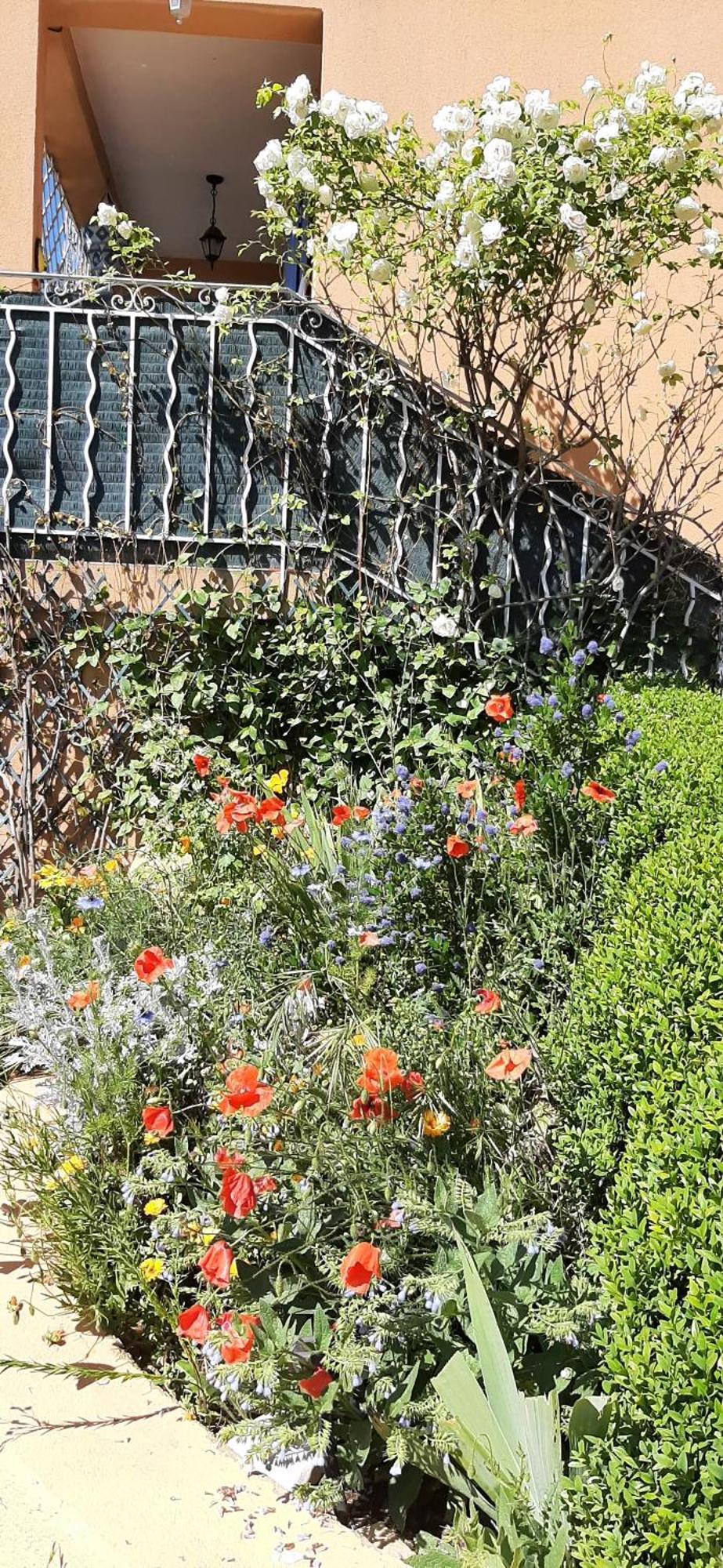 Апартаменти T.Belle Vue Panoramique Au Coeur Du Luberon 40M2 + Pergola . Jardin. P Апт Екстер'єр фото