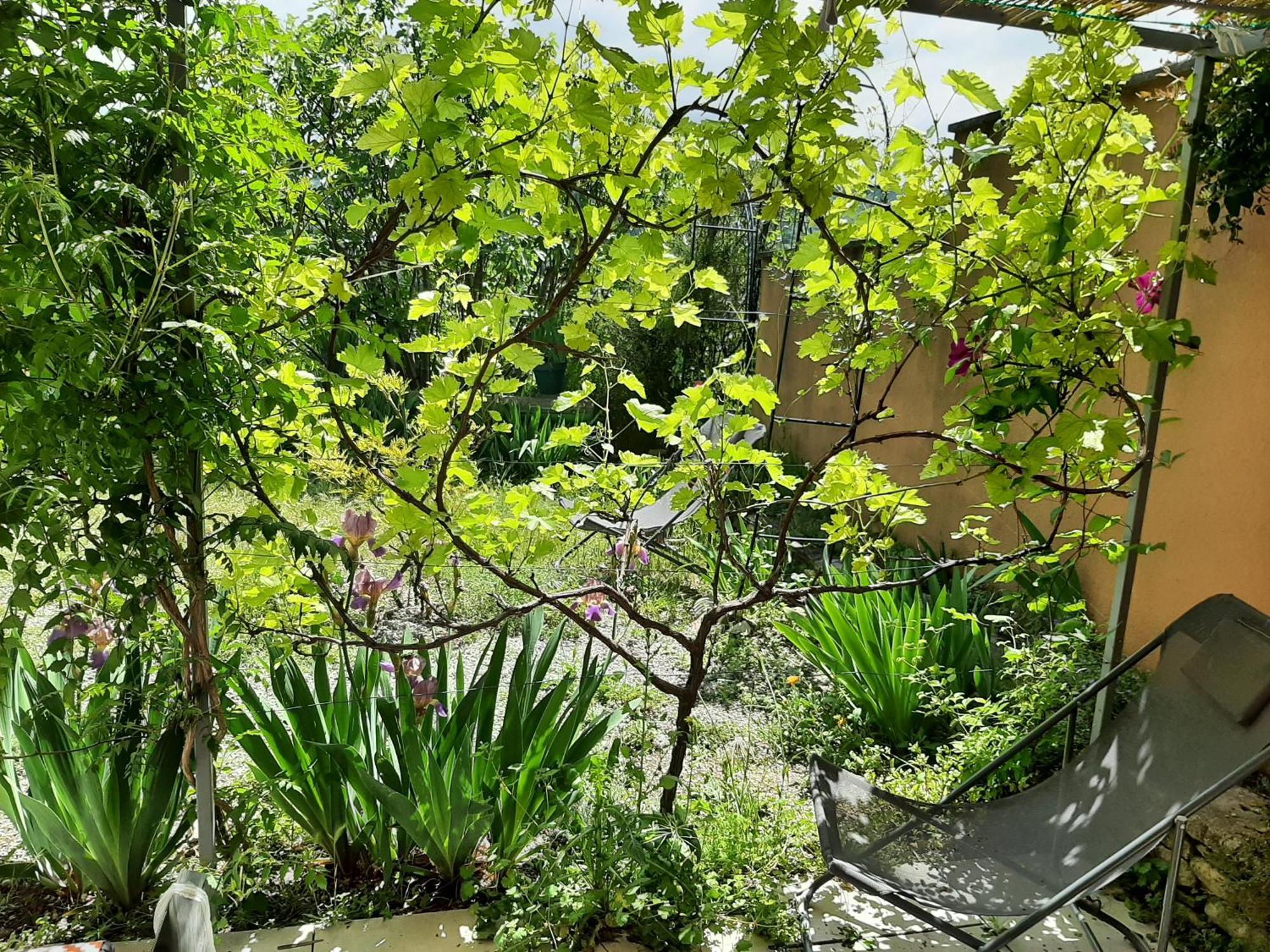 Апартаменти T.Belle Vue Panoramique Au Coeur Du Luberon 40M2 + Pergola . Jardin. P Апт Екстер'єр фото