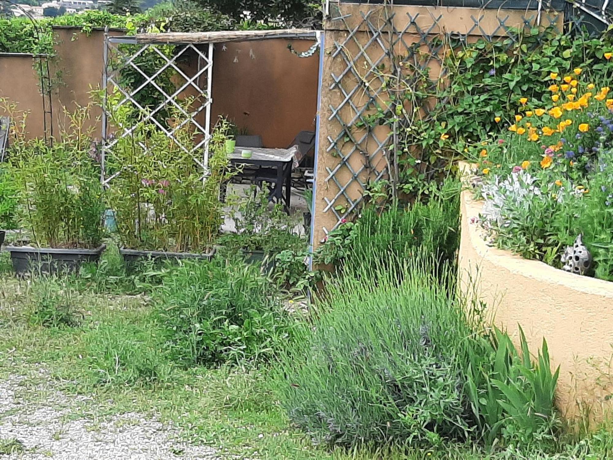 Апартаменти T.Belle Vue Panoramique Au Coeur Du Luberon 40M2 + Pergola . Jardin. P Апт Екстер'єр фото